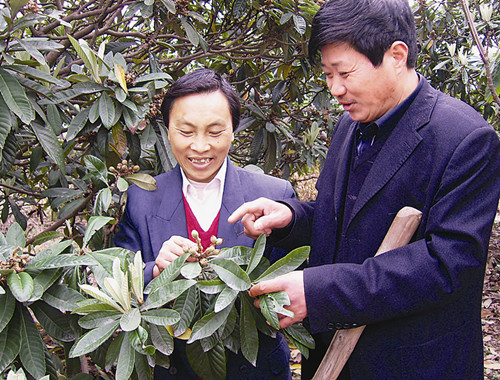 吴光明:让乡村处处盛开文化之花